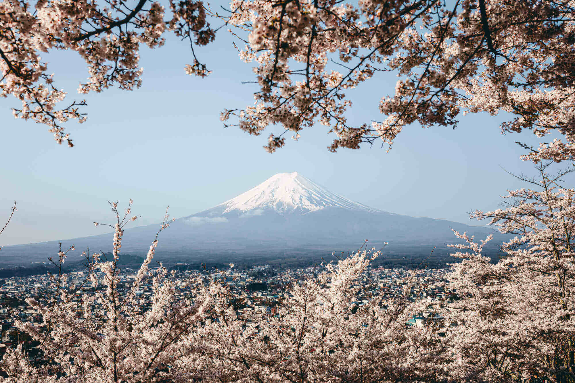 Mt. Fuji