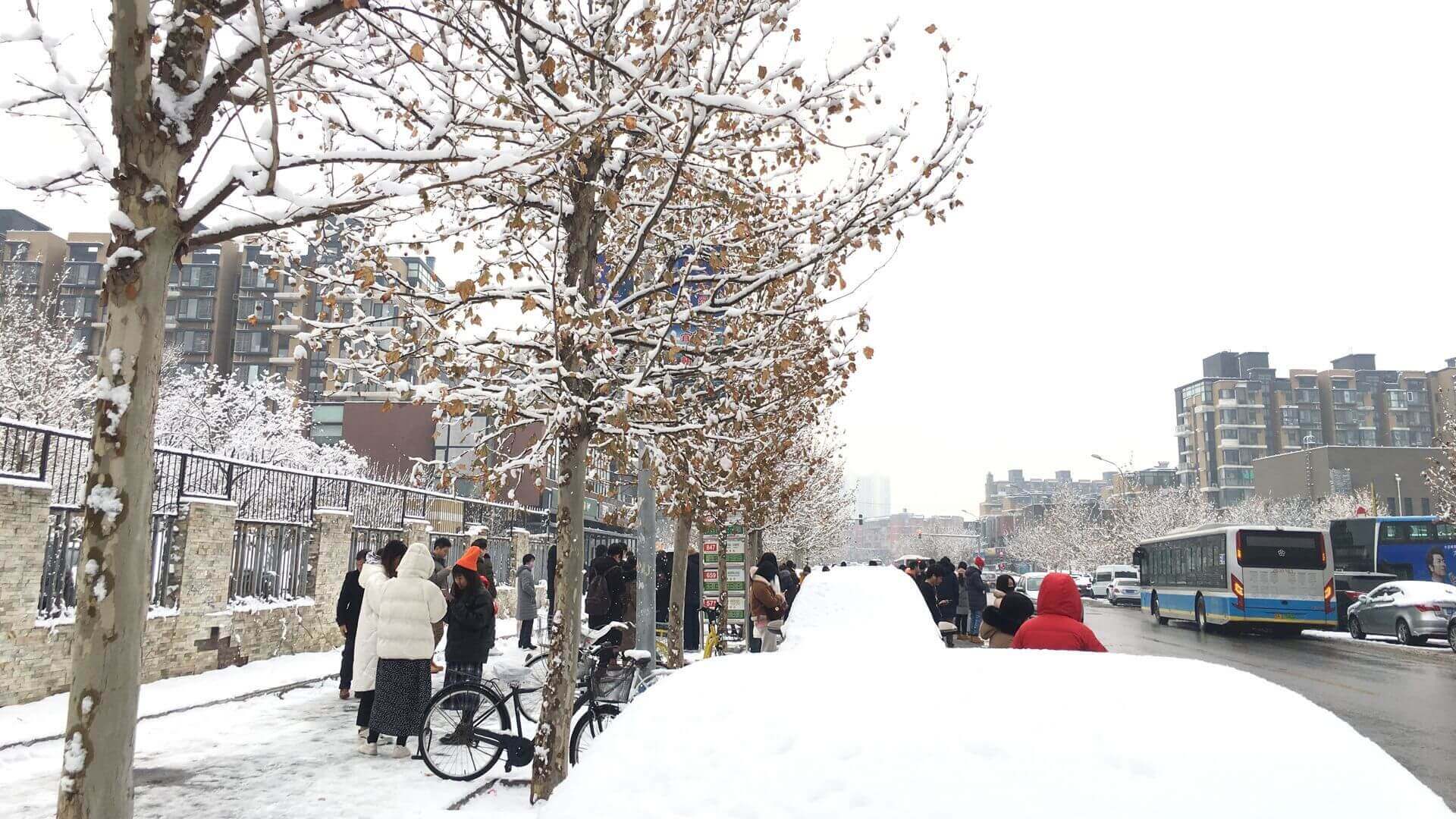 下雪的早晨等待公交车上班的人们，拍摄于2020年第一场雪